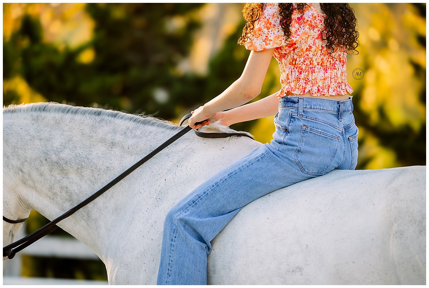 girl and horse