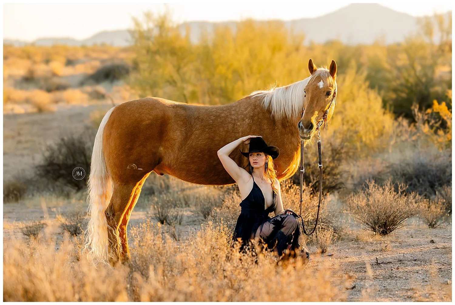horse and rider