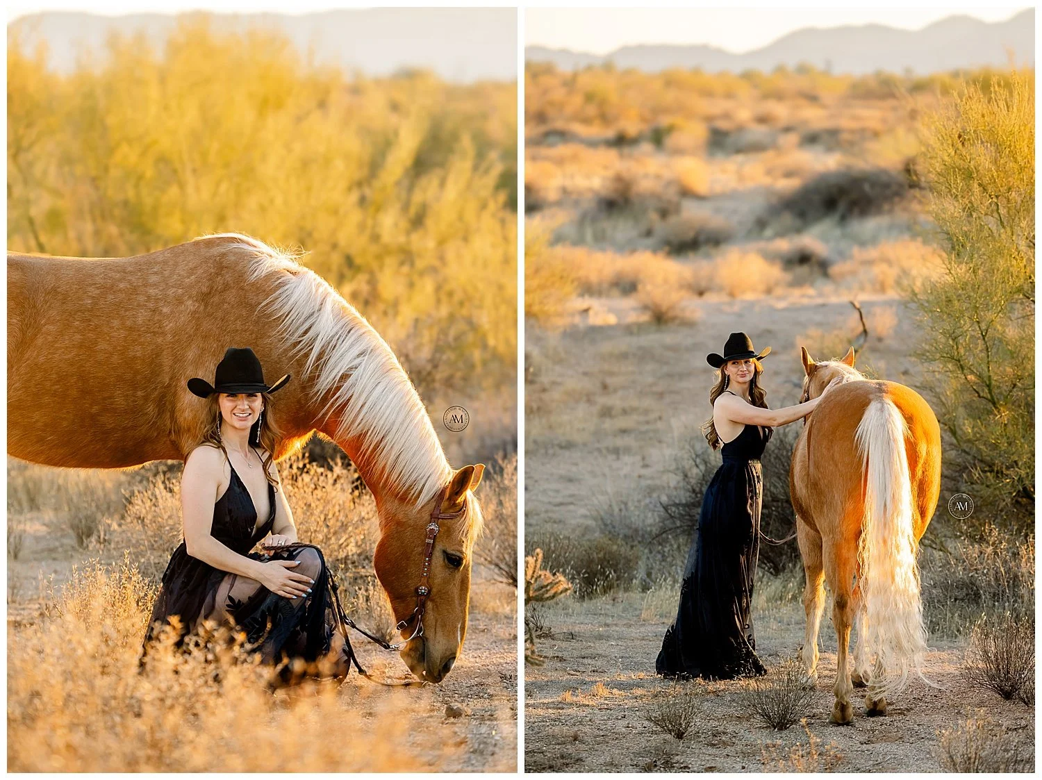 horse and rider