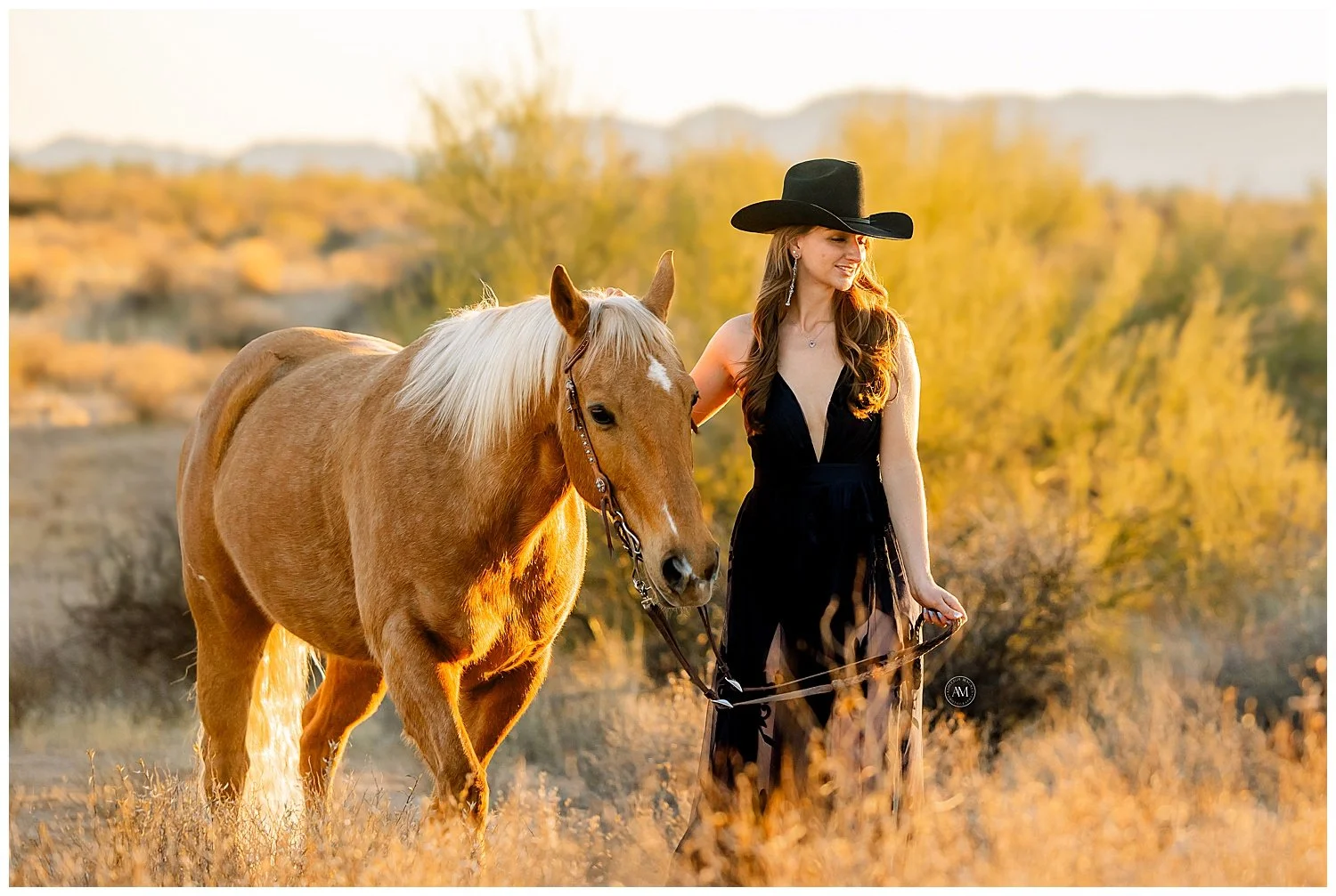 horse and rider