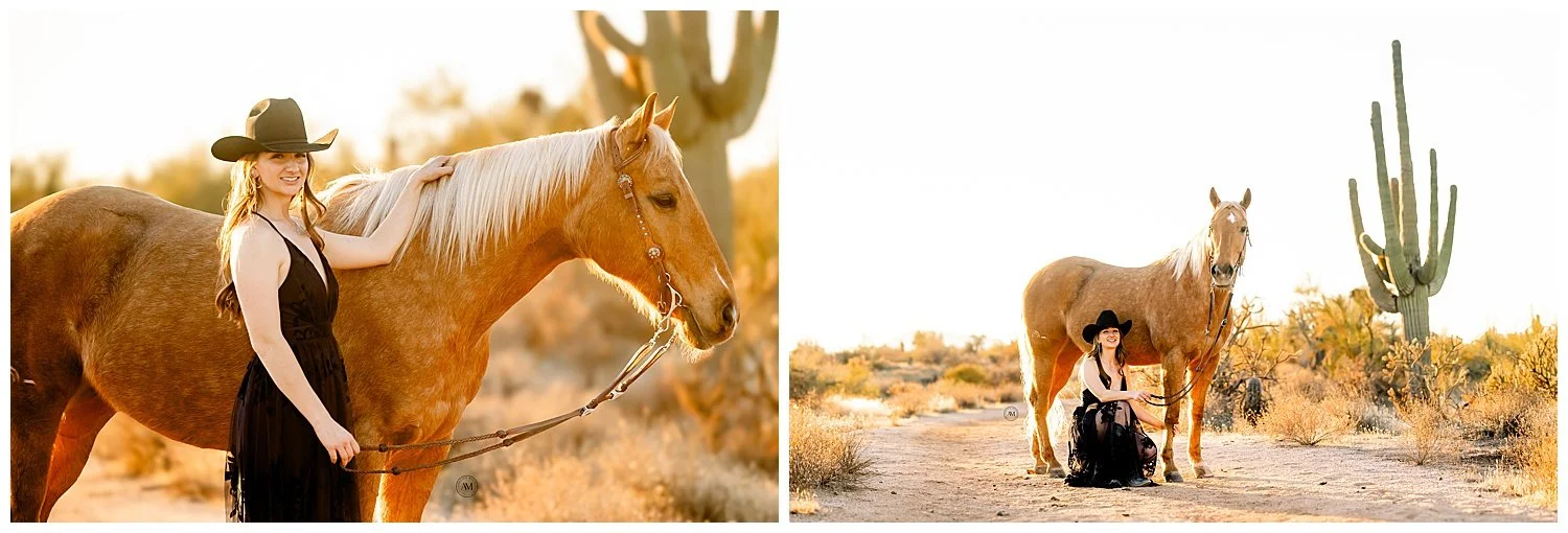 horse and rider