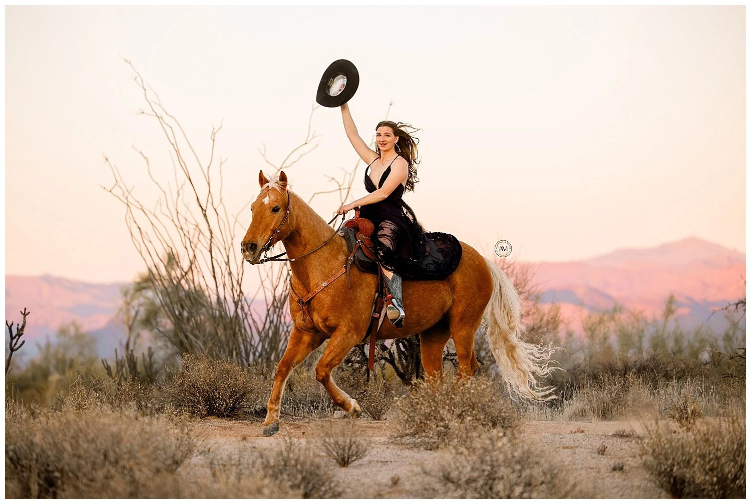 horse and rider