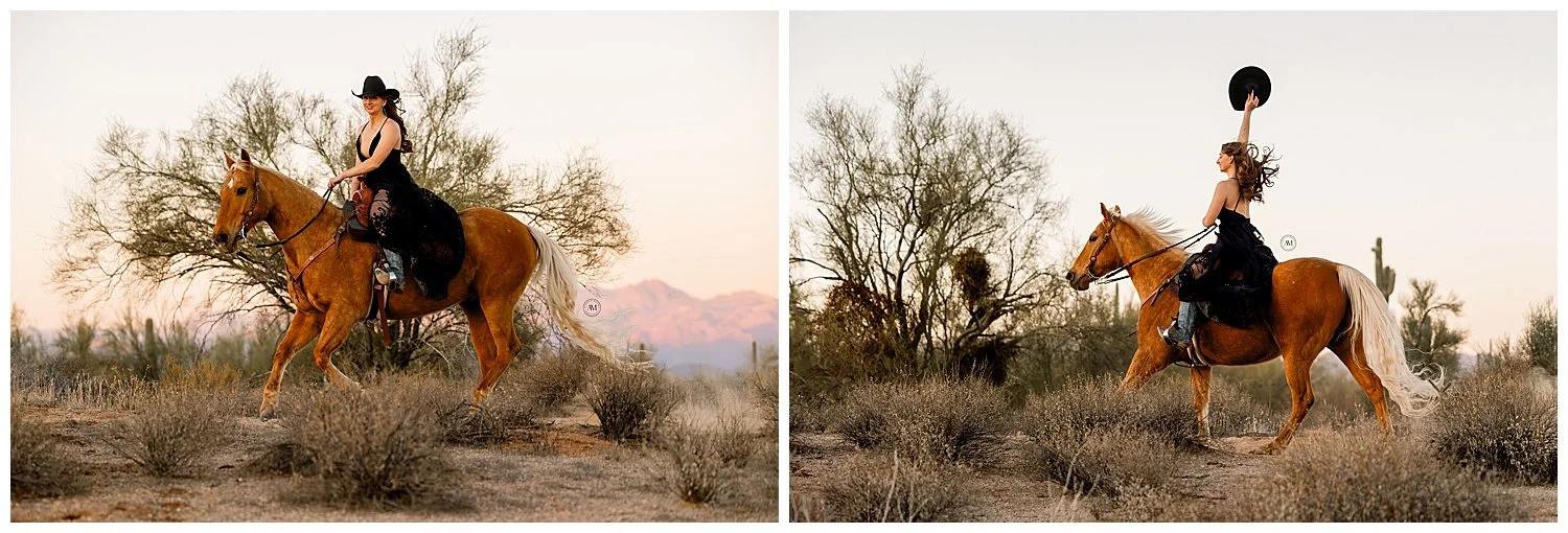 horse and rider