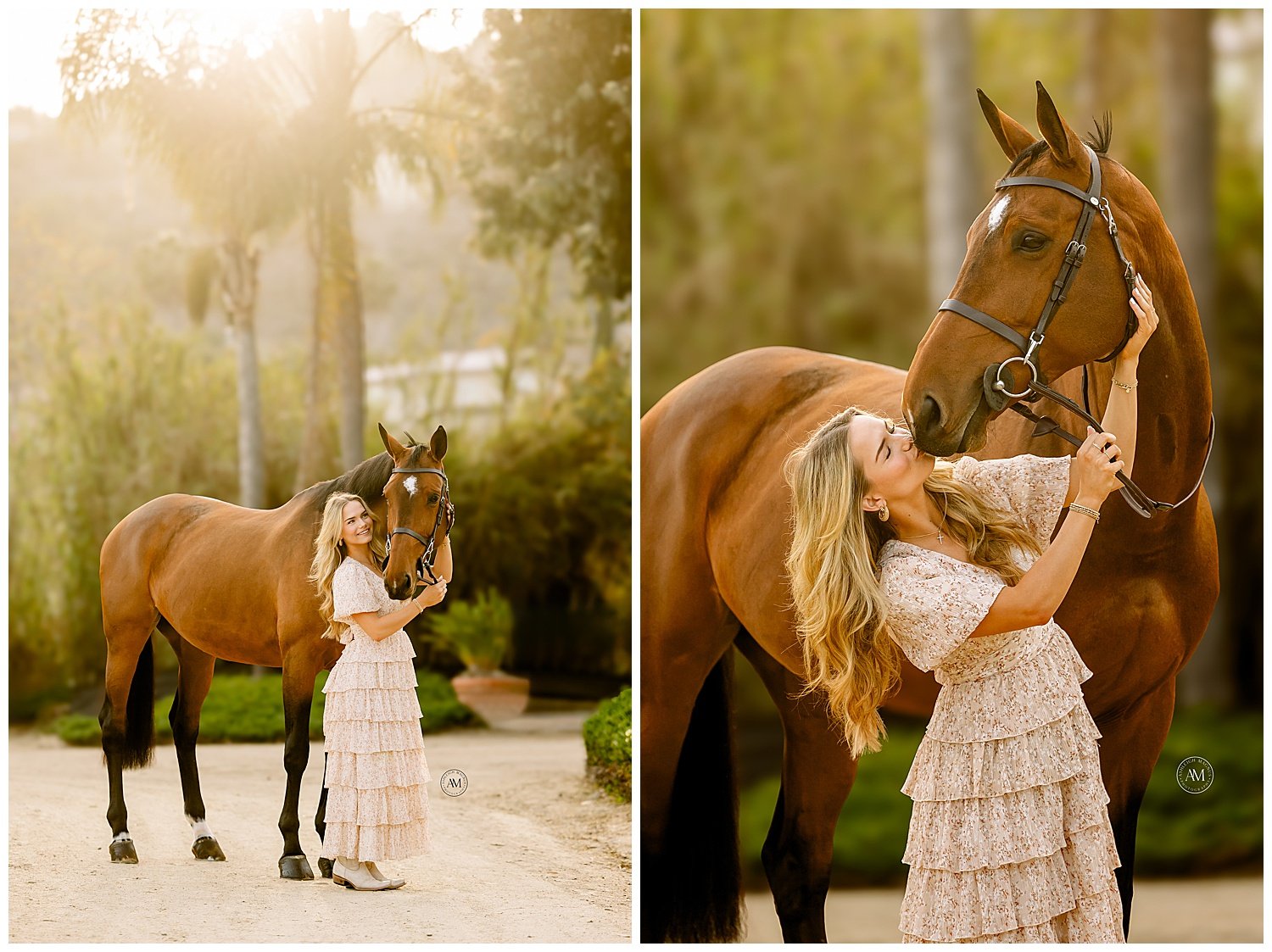 horse and rider