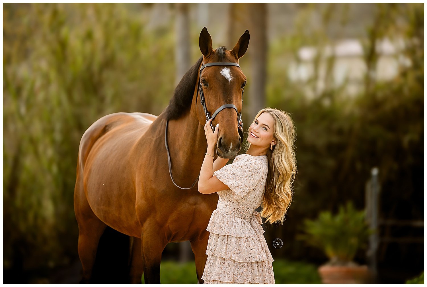 horse and rider