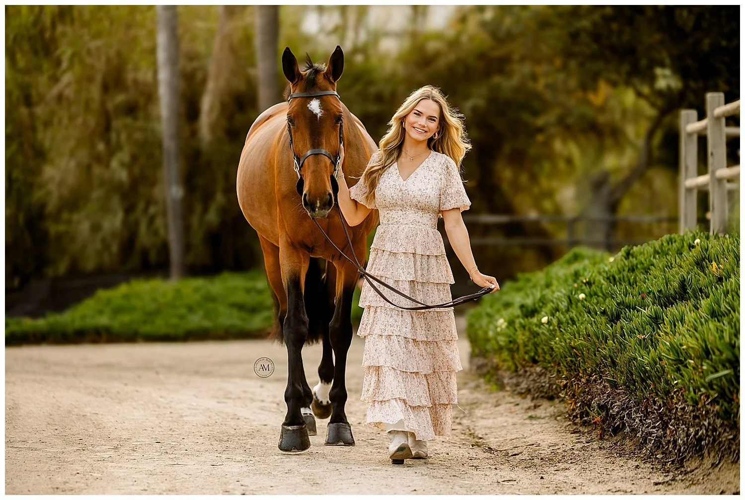 horse and rider