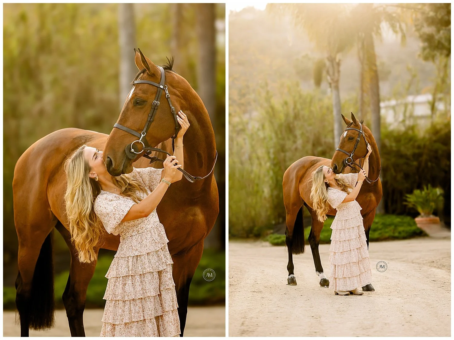 horse and rider