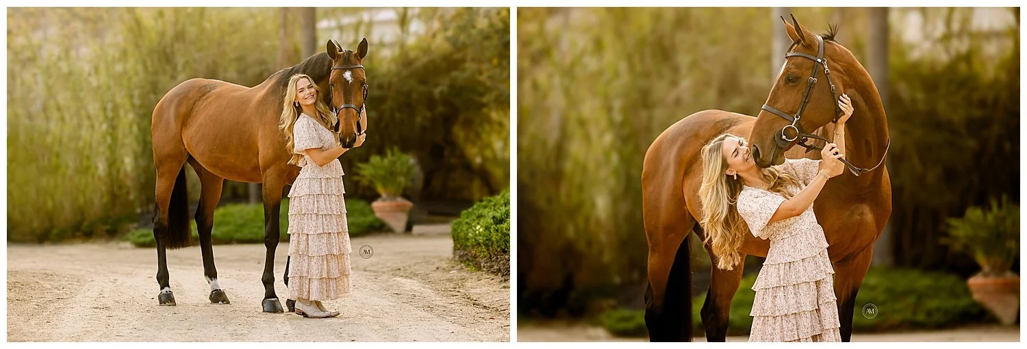 horse and rider