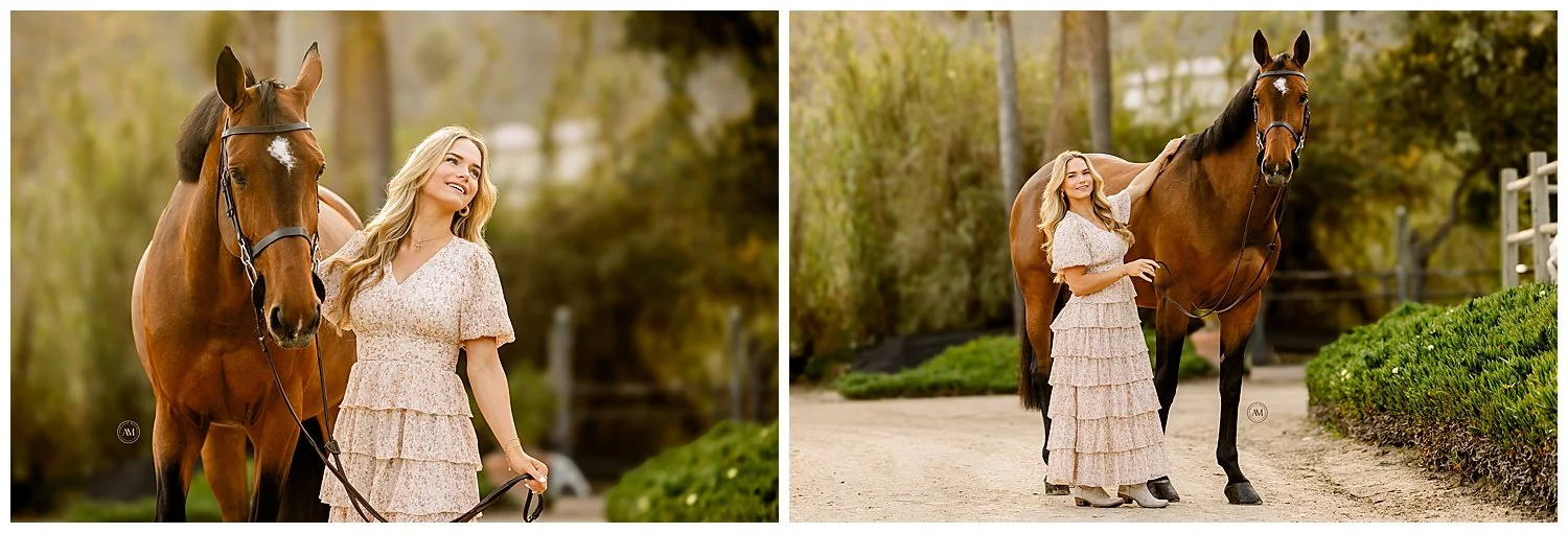 horse and rider