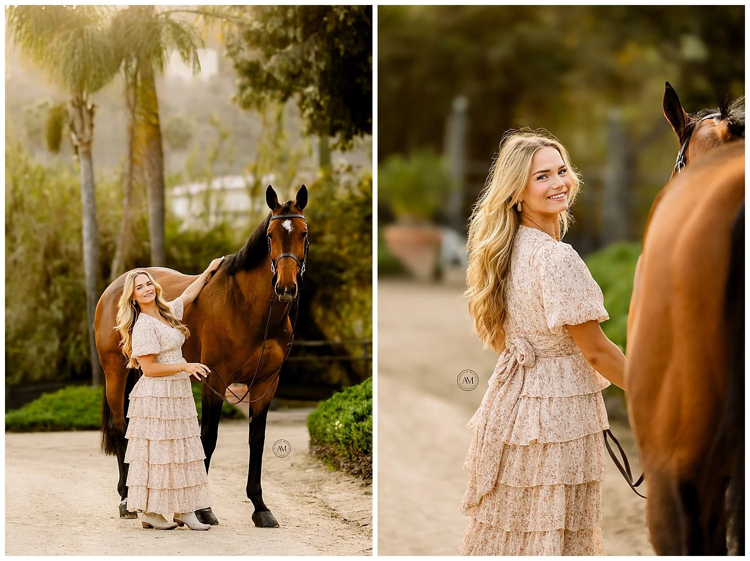 horse and rider