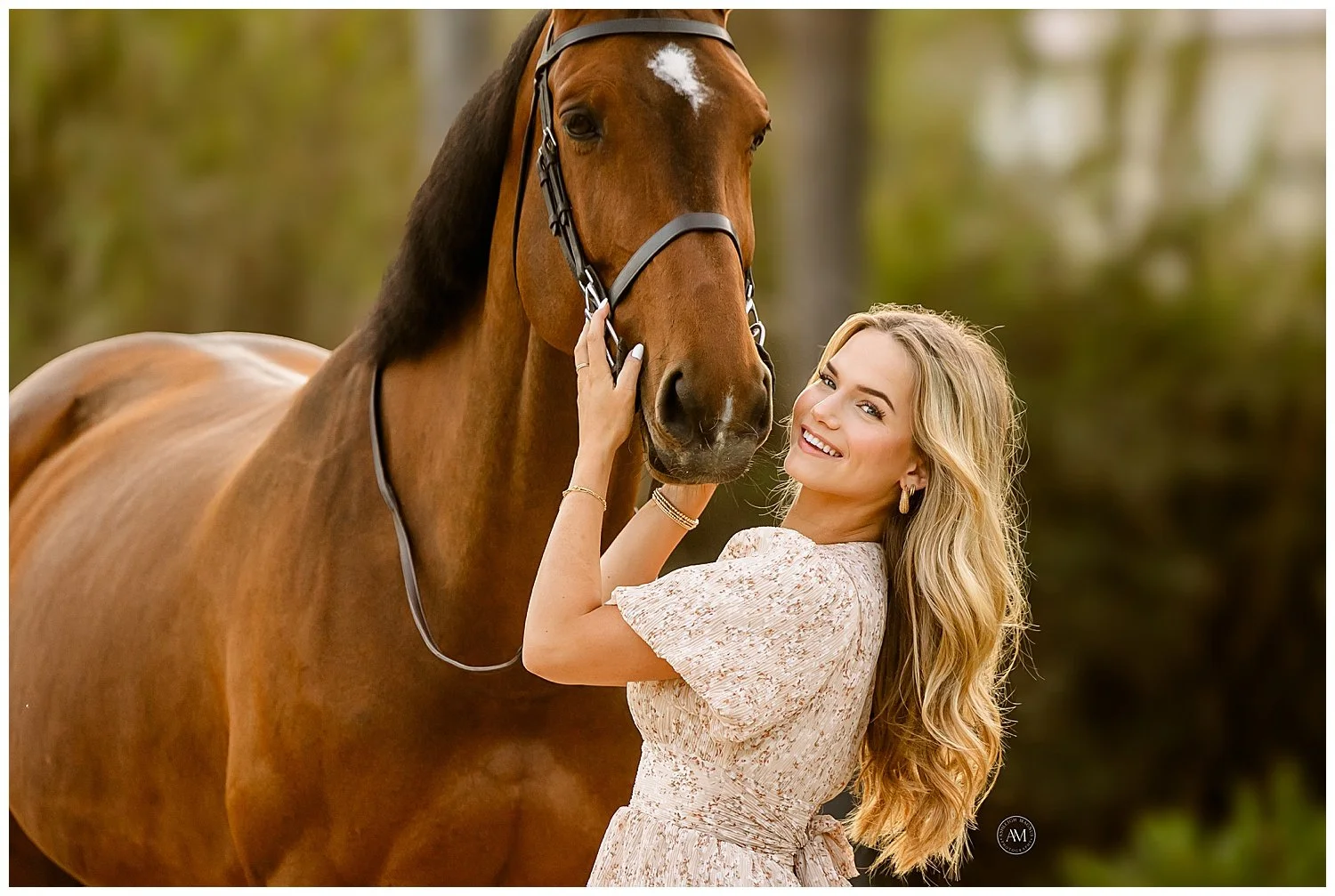 horse and rider