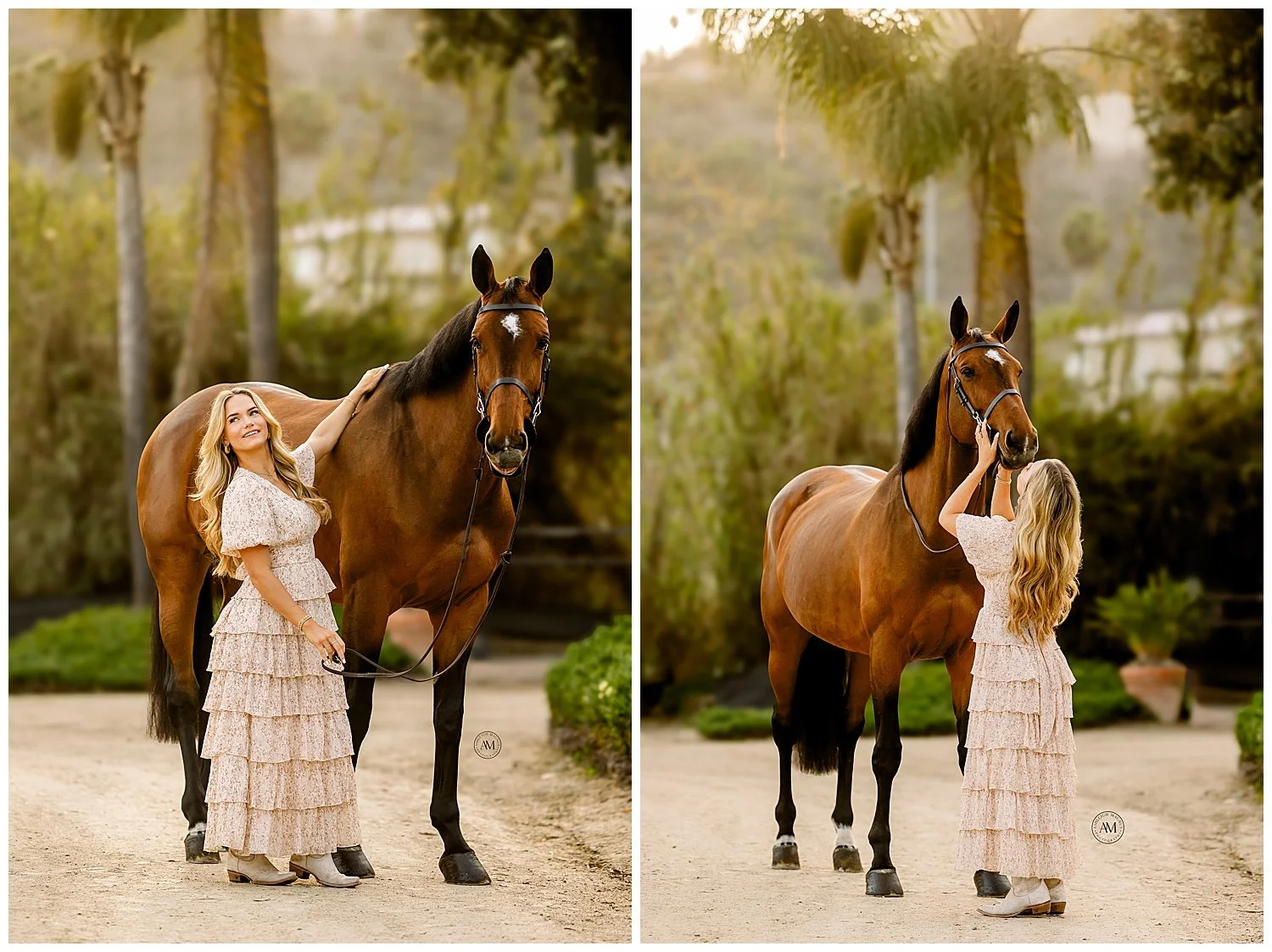 horse and rider