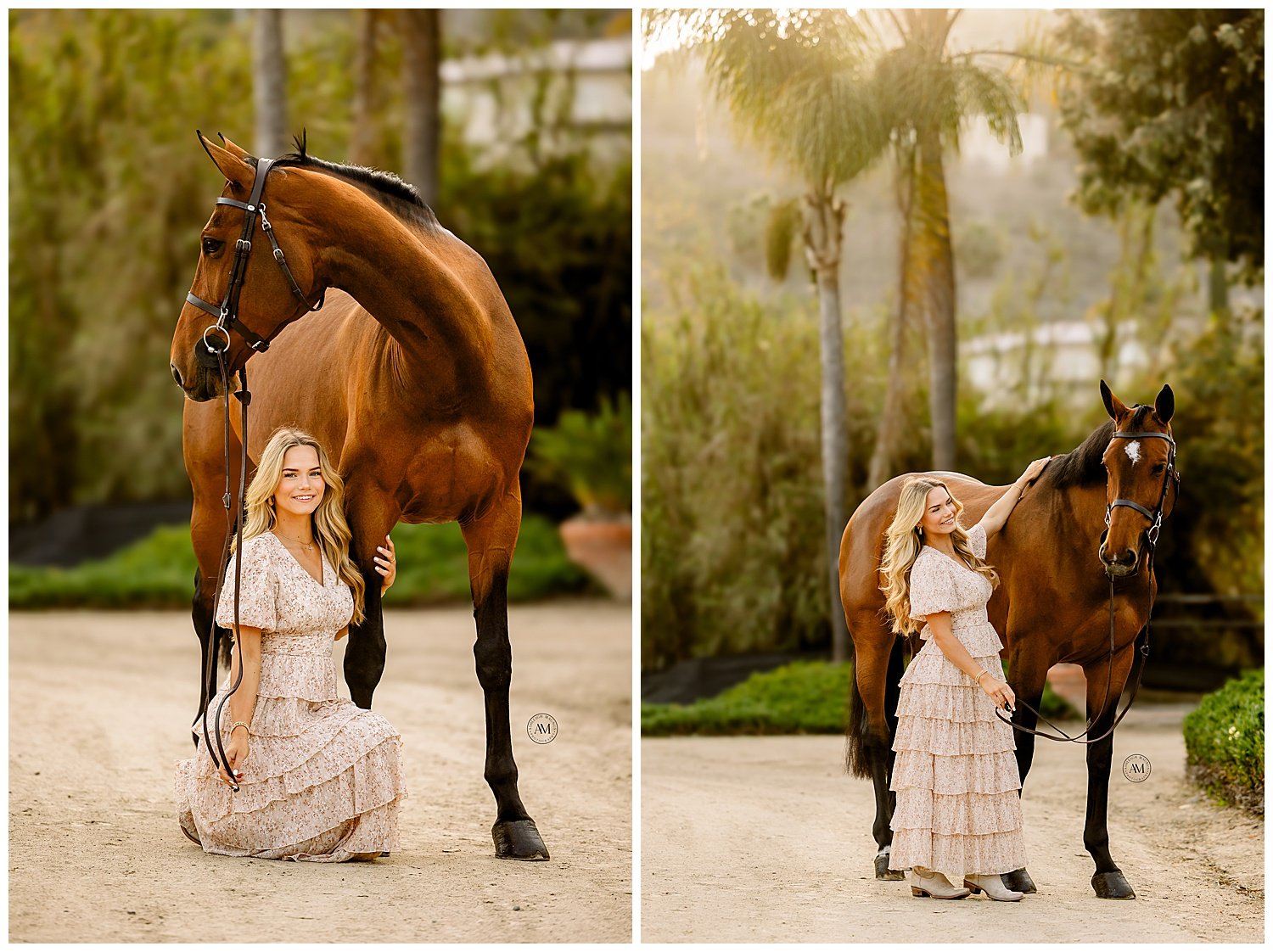 horse and rider