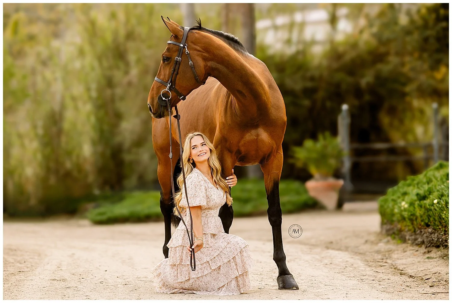 horse and rider