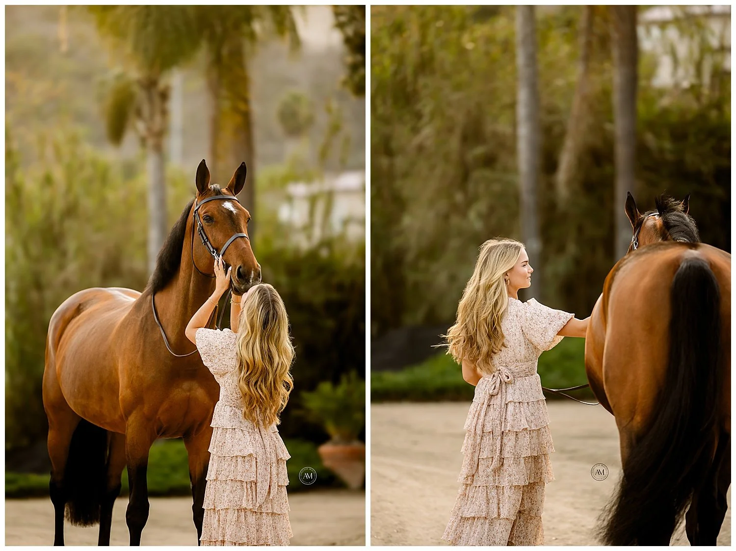 horse and rider