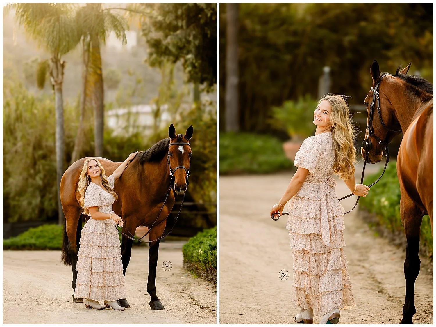 horse and rider