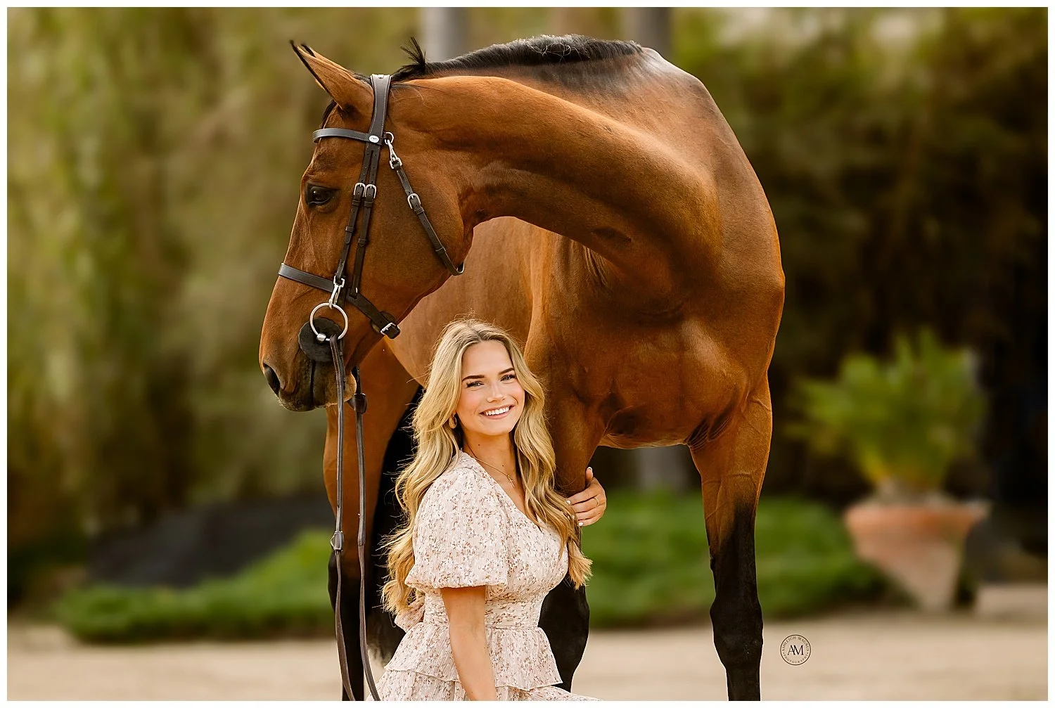 horse and rider