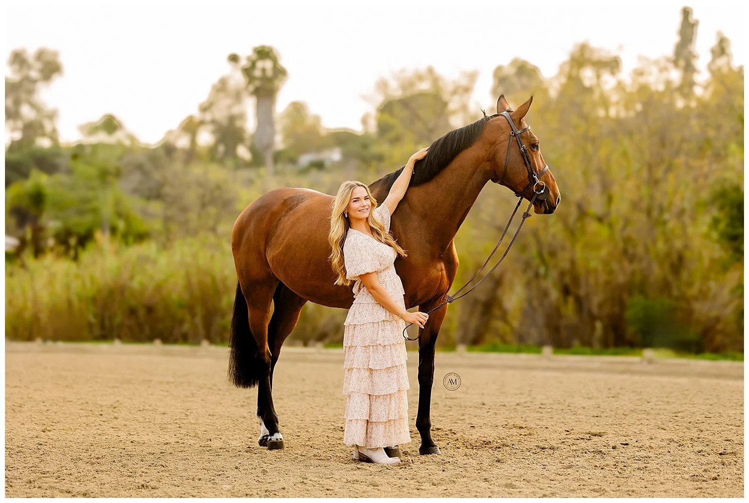 horse and rider