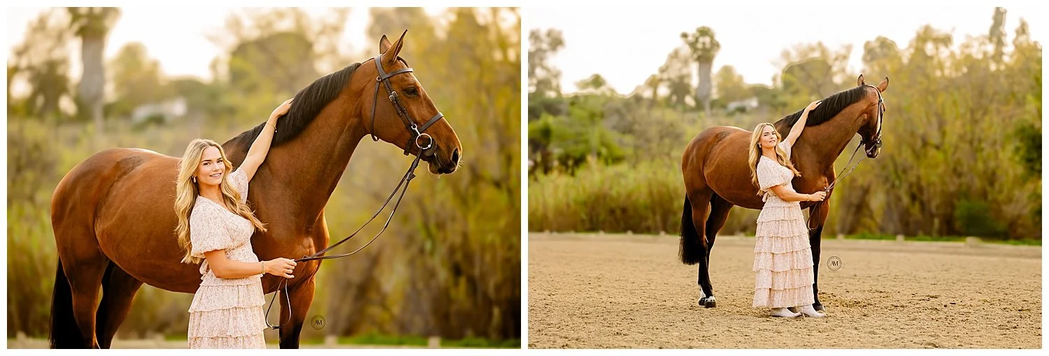 horse and rider