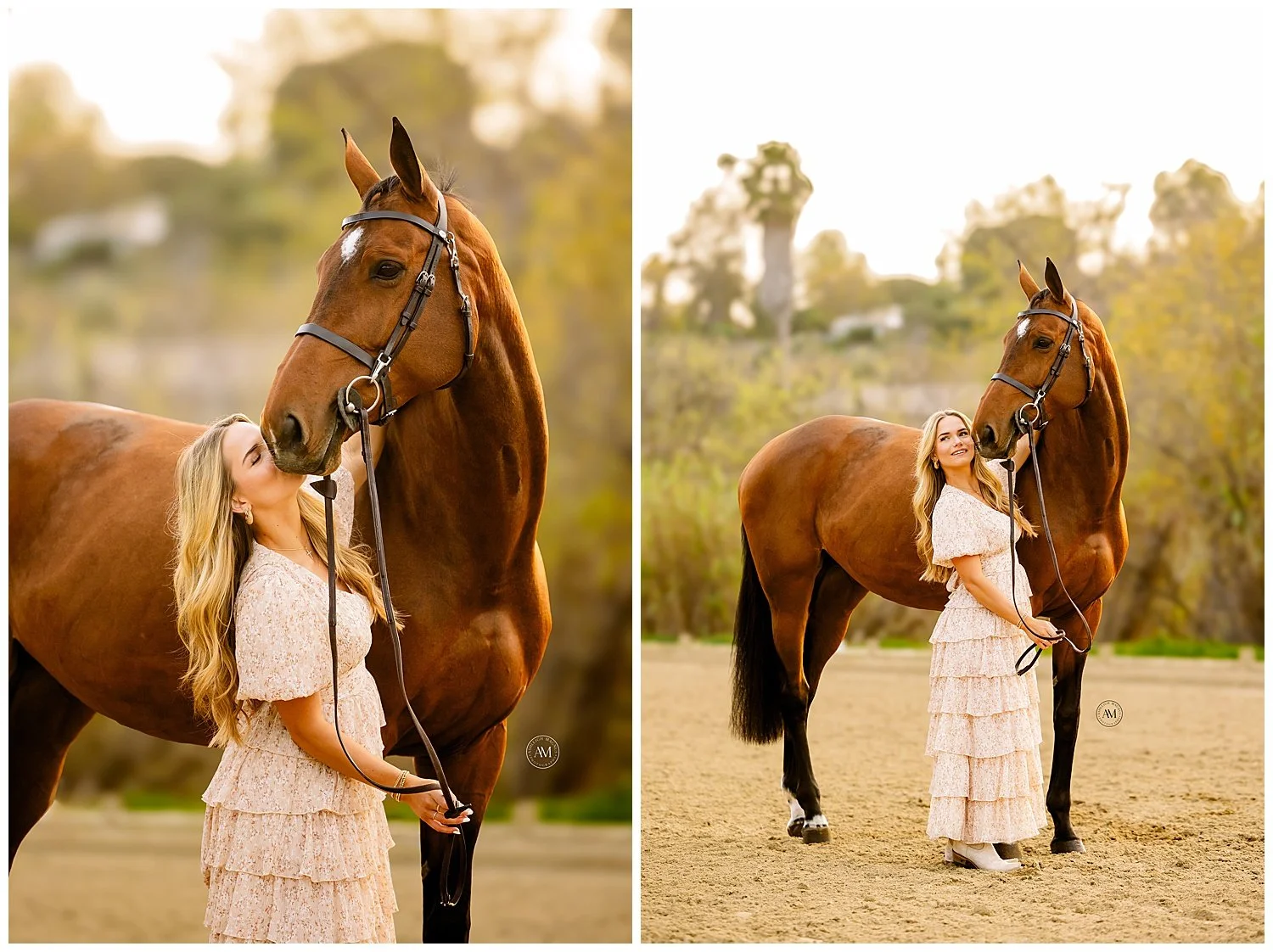 horse and rider