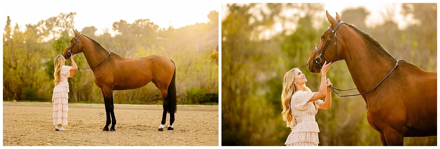 horse and rider