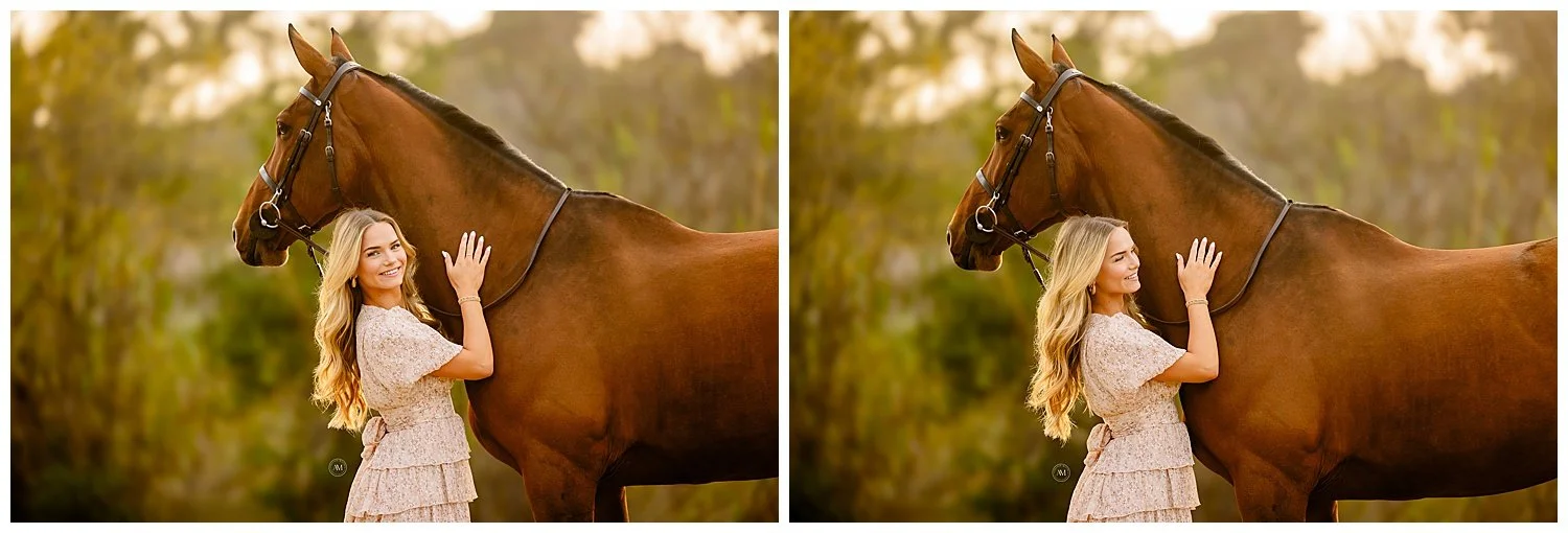 horse and rider