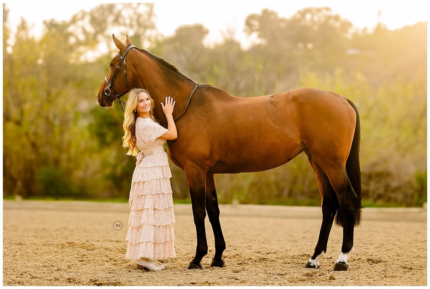horse and rider