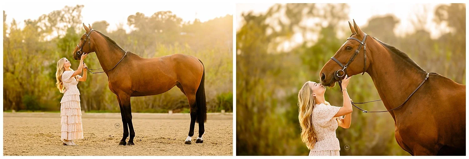 horse and rider