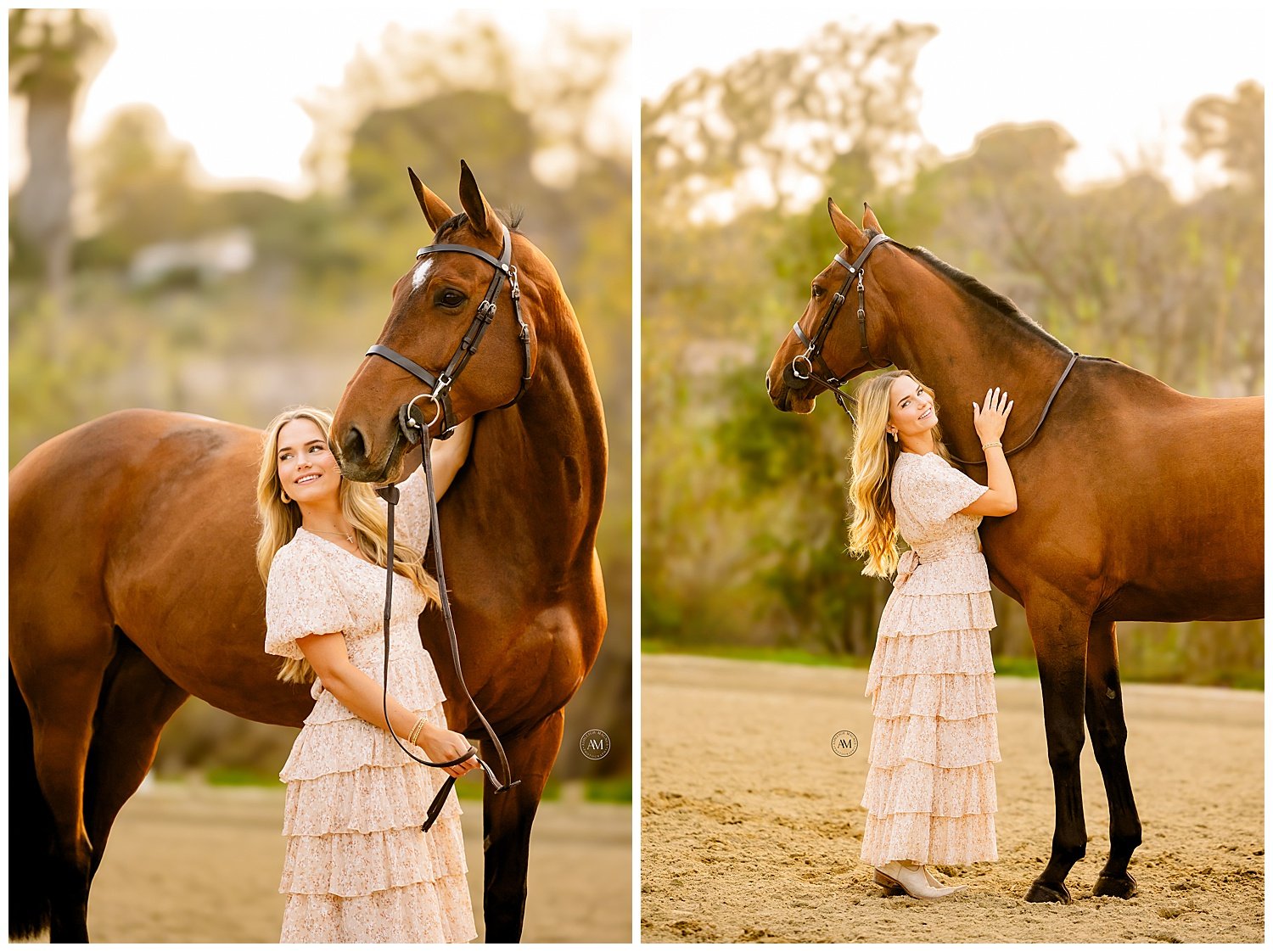 horse and rider