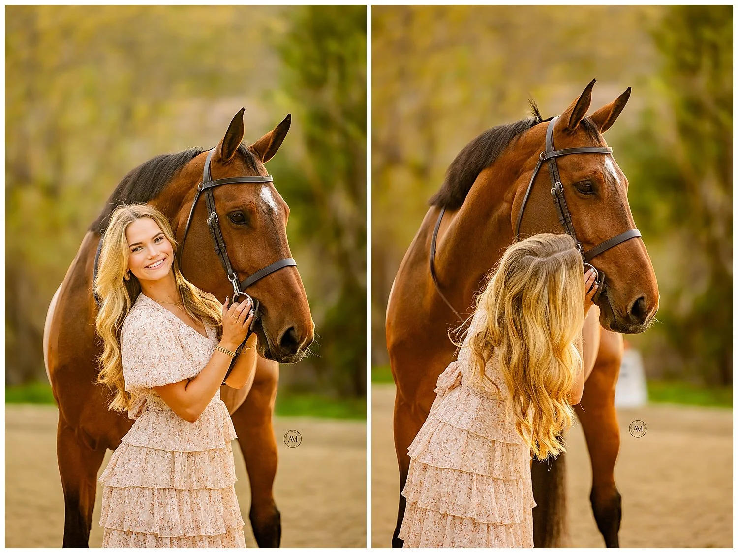horse and rider