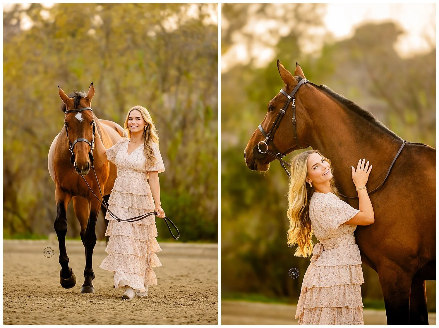 horse and rider
