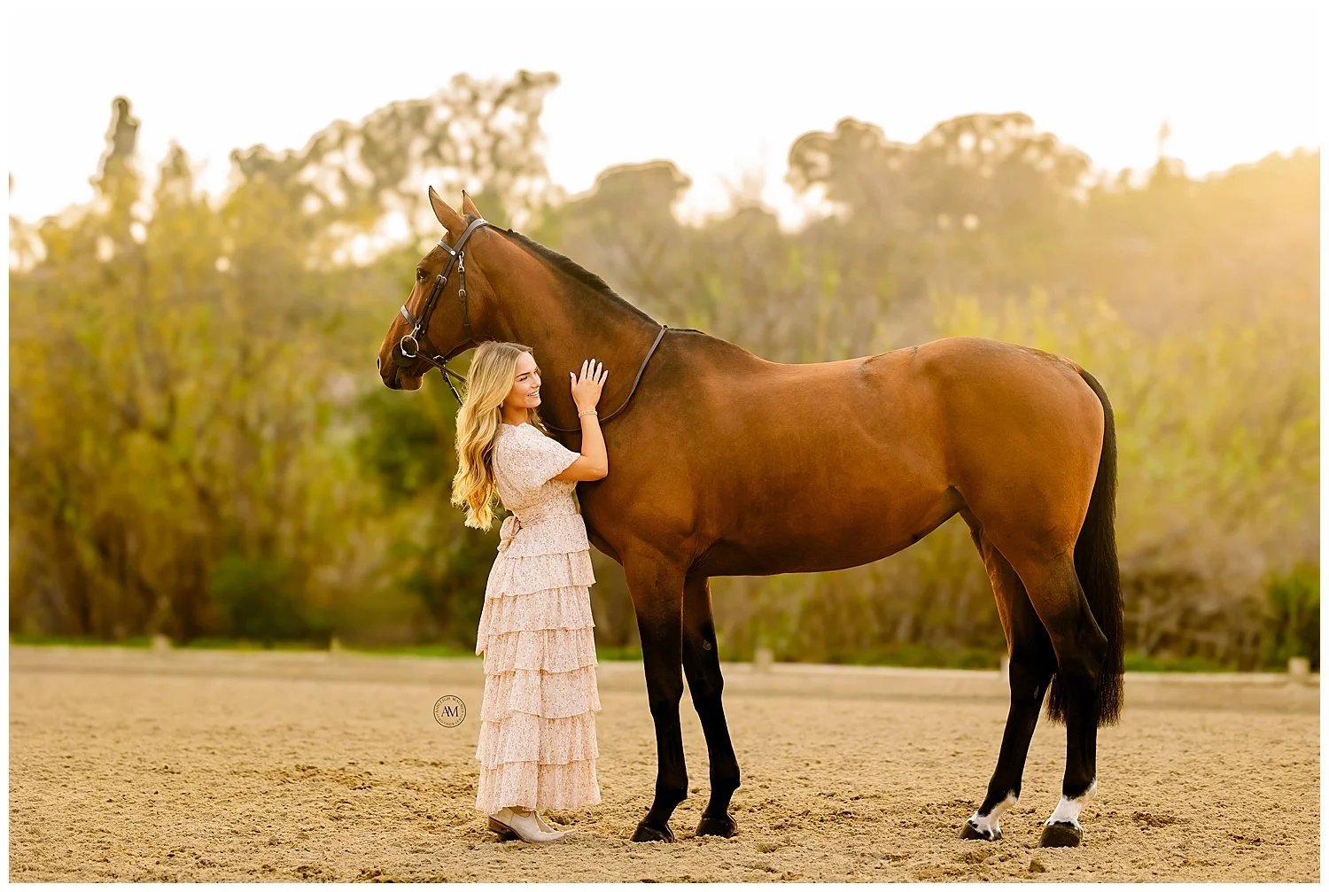 horse and rider