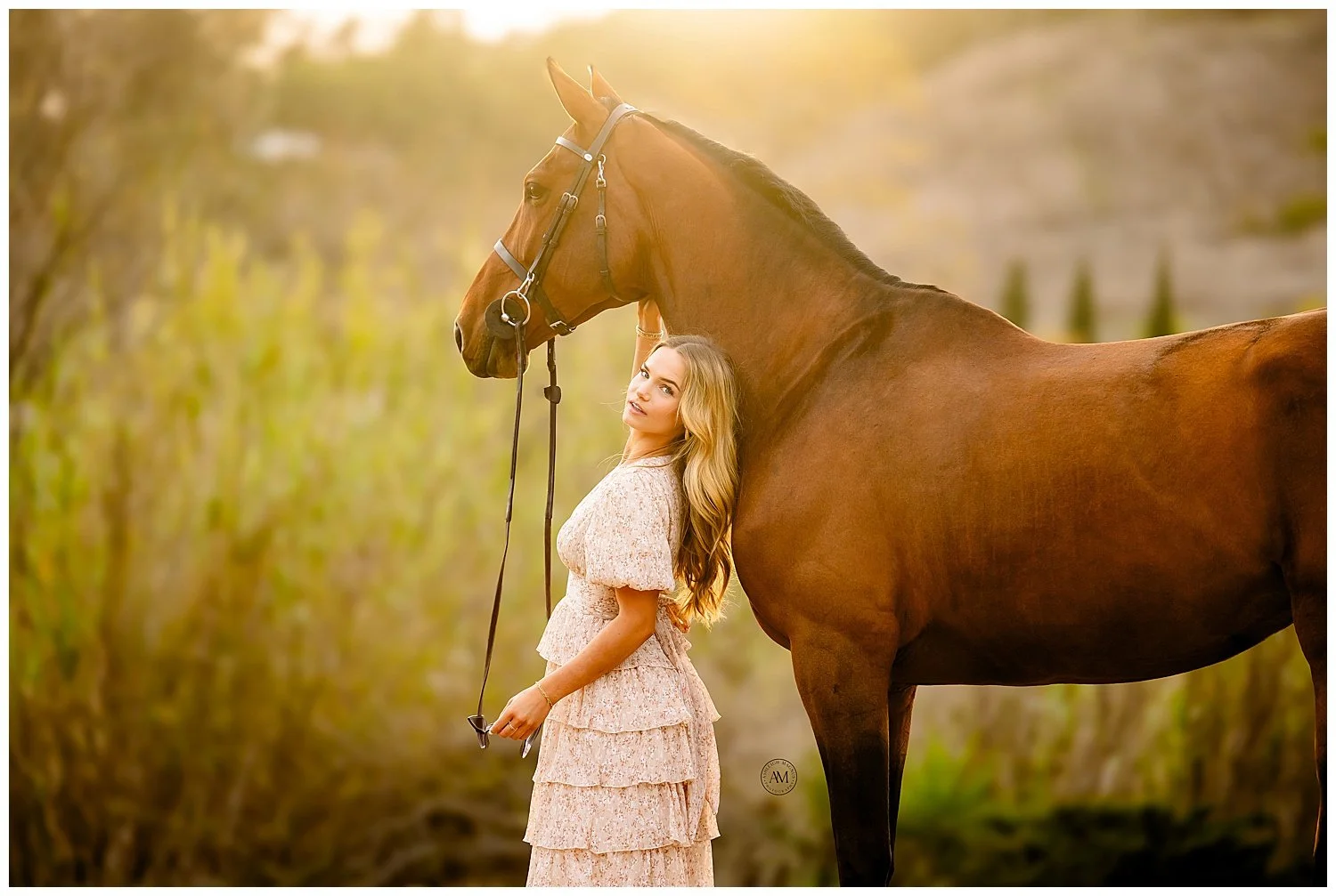 horse and rider