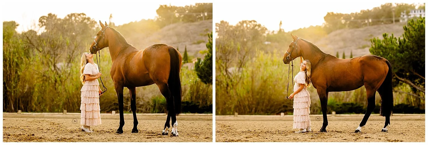 horse and rider
