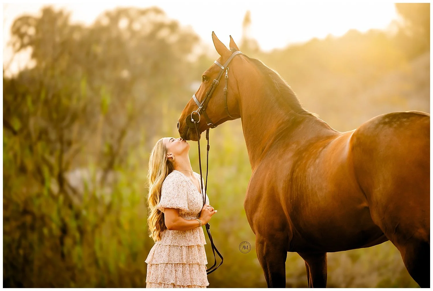 horse and rider