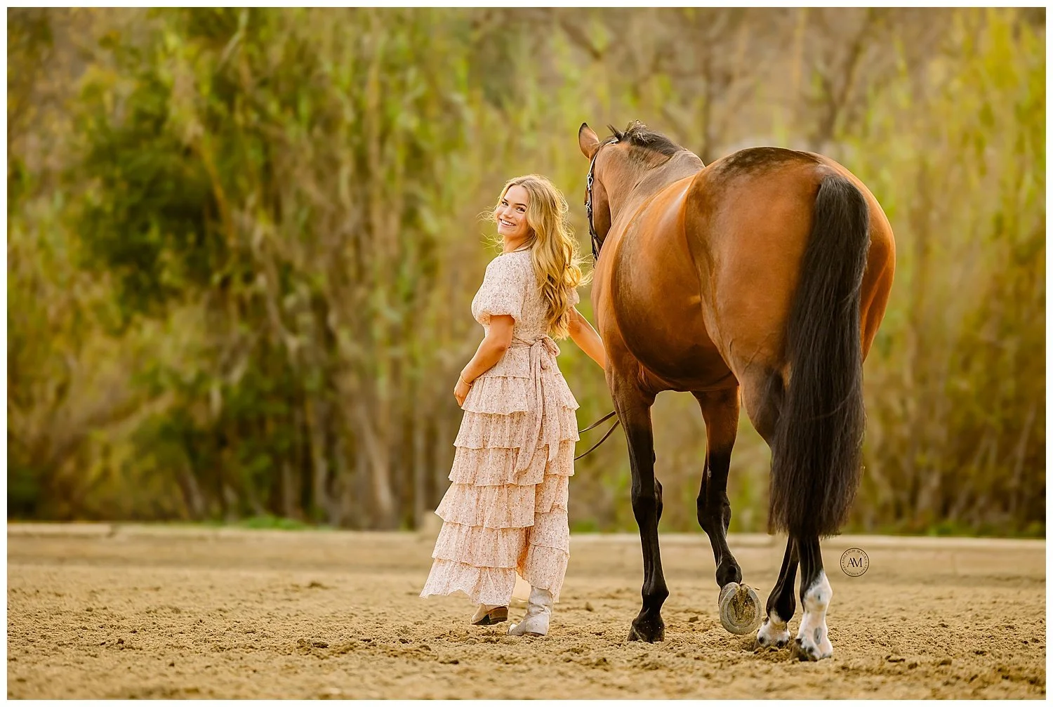 horse and rider