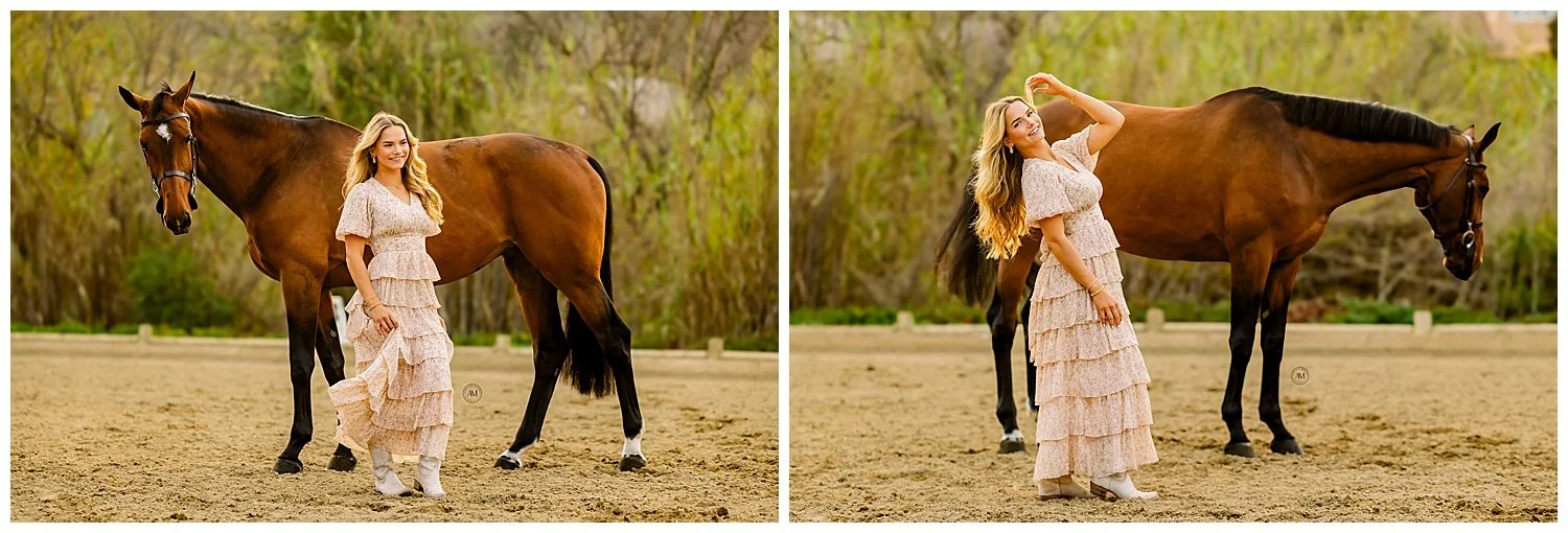 horse and rider
