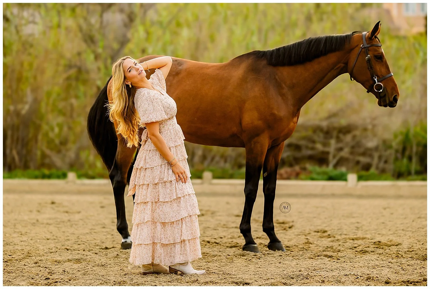 horse and rider