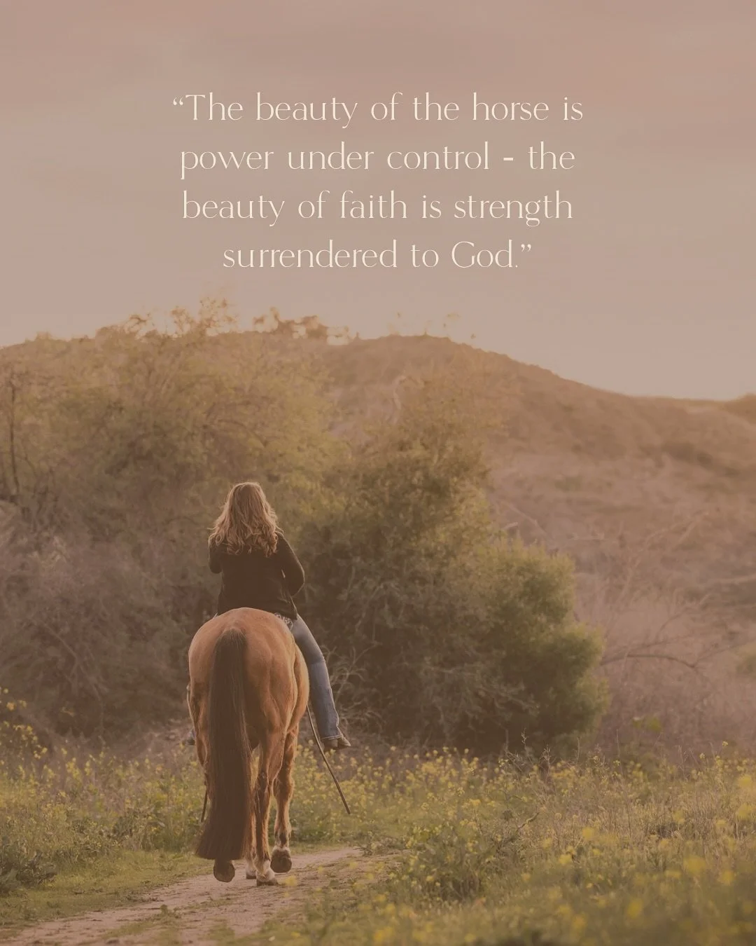 If you&rsquo;ve ever watched a horse move, you know what strength looks like. You can feel the power in every stride &mdash; yet the real beauty isn&rsquo;t in its wildness, but in its willingness to be guided.
Faith is the same way.
It&rsquo;s not a