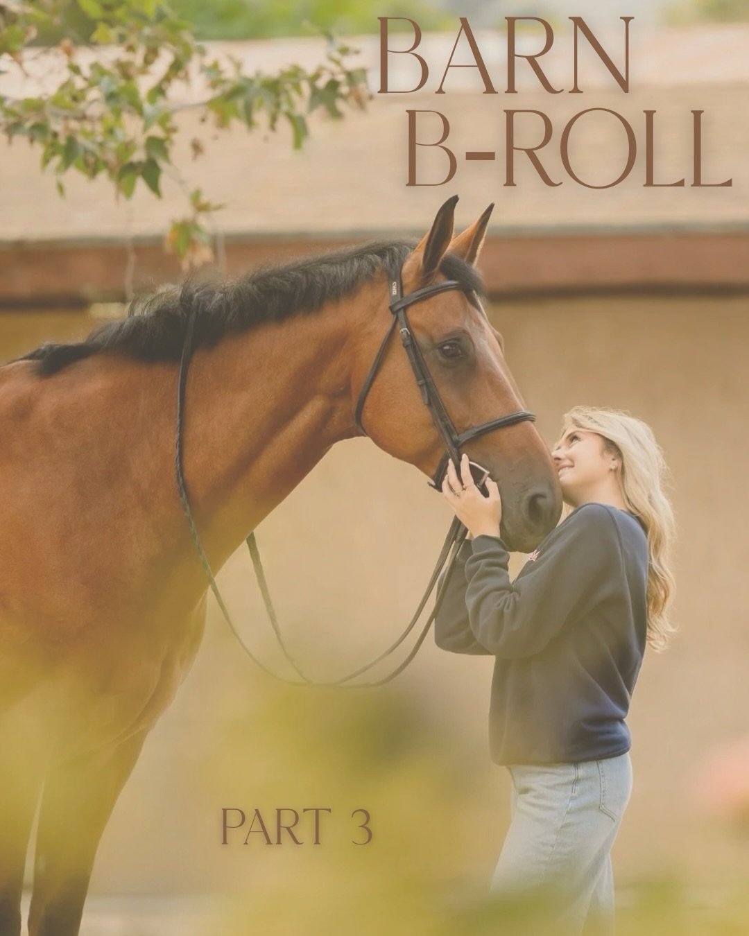 Barn B-Roll continues! Did you know we off professional video services as an add on to your portrait session? Inquire about it with your next shoot! There&rsquo;s truly something so beautiful about those frames captured in motion ❤️

#AshleighMagnusP