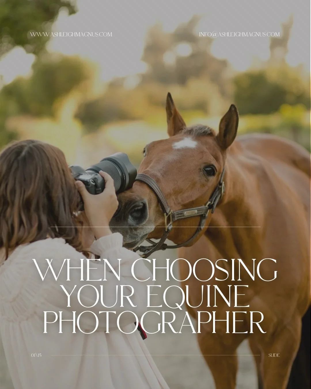 When Choosing Your Equine Photographer 👇🏻
there&rsquo;s more to look for than just a pretty photo&hellip;.

Swipe through ➡️ to see what truly matters when trusting someone to capture you and your horse.

From composition to posing, the right photo