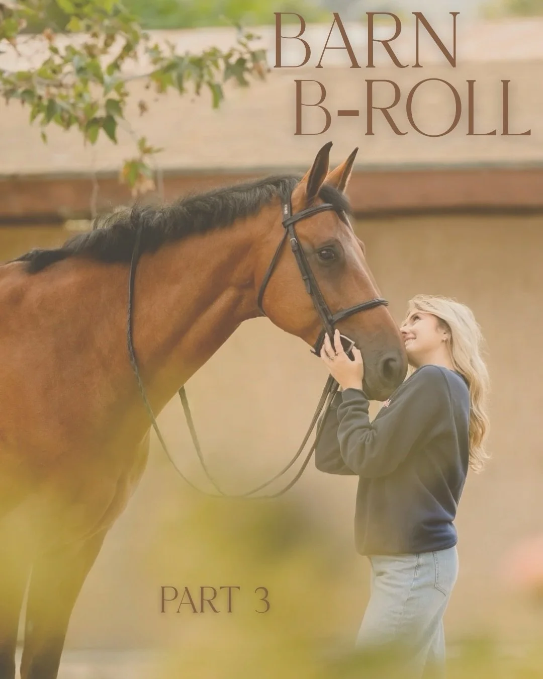 Barn B-Roll continues! Did you know we off professional video services as an add on to your portrait session? Inquire about it with your next shoot! There&rsquo;s truly something so beautiful about those frames captured in motion ❤️

#AshleighMagnusP