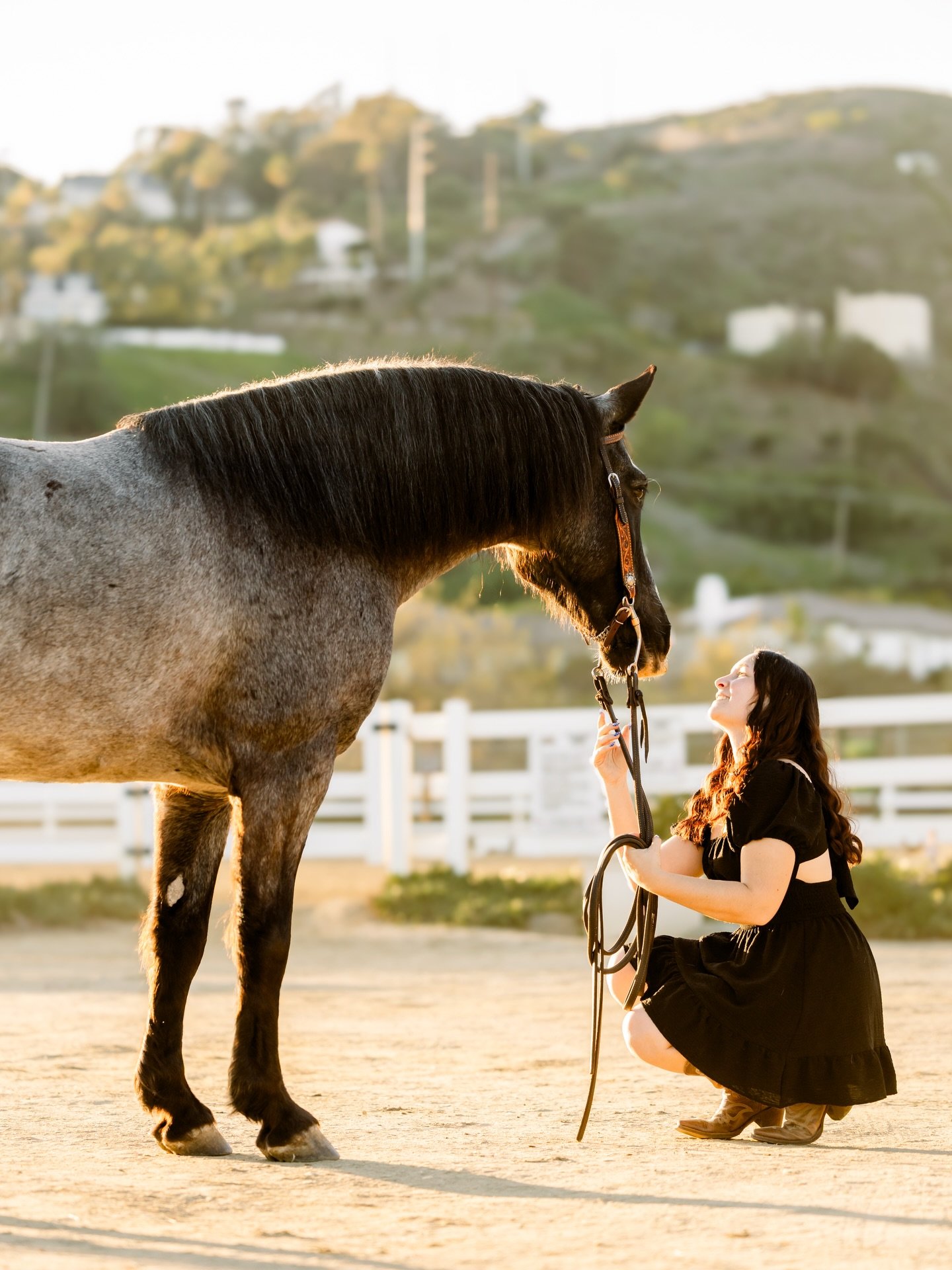 Brooke + Haven ✨

Few previews from this beautiful season with Brooke and Haven! Excited to finish up and send this gallery out

#AshleighMagnusPhotography #equinephotographer #horsegirl