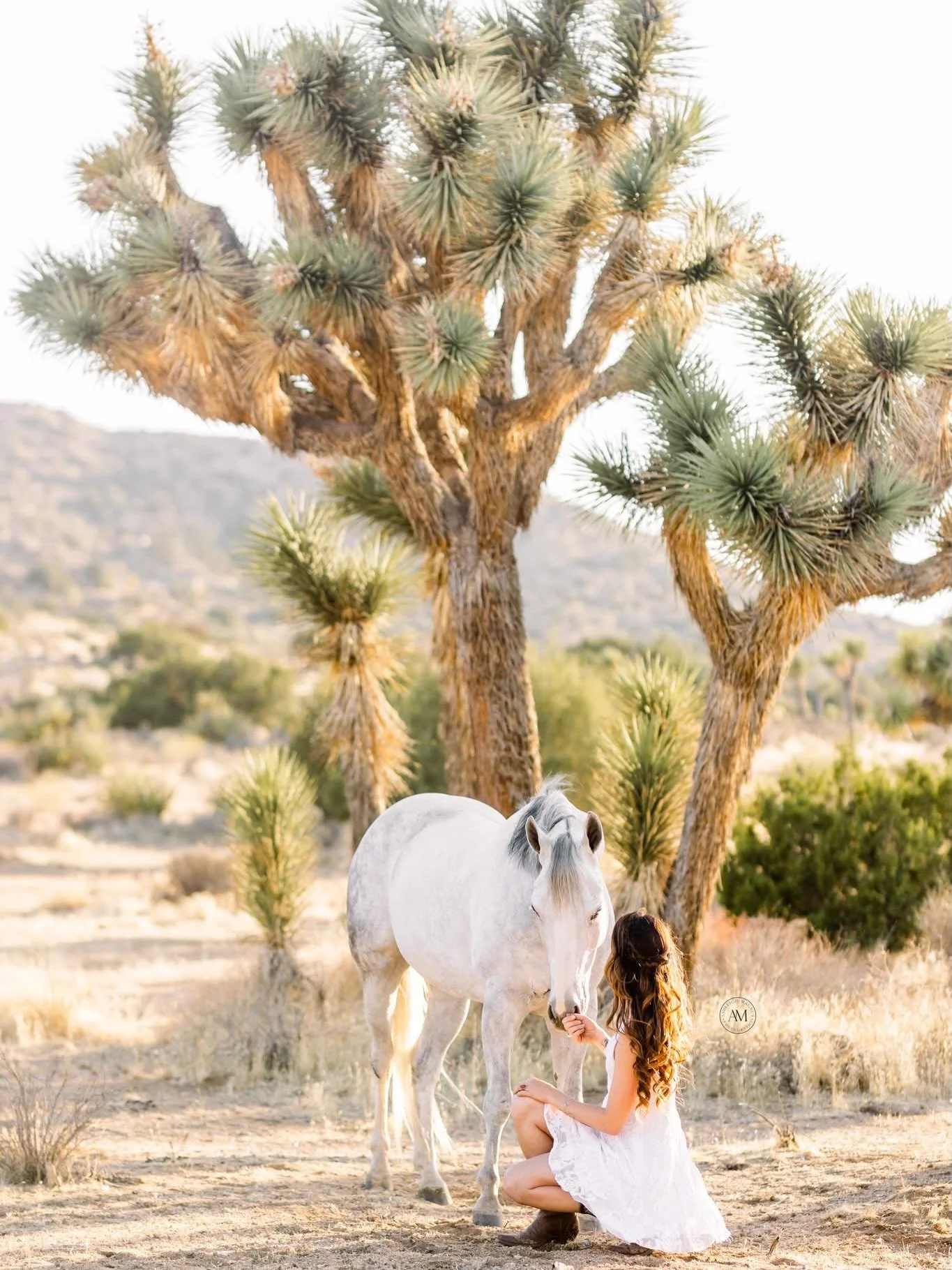 There is just something magical about a girl and her horse in the desert! These are truly some of my favorite memories to capture ❤️