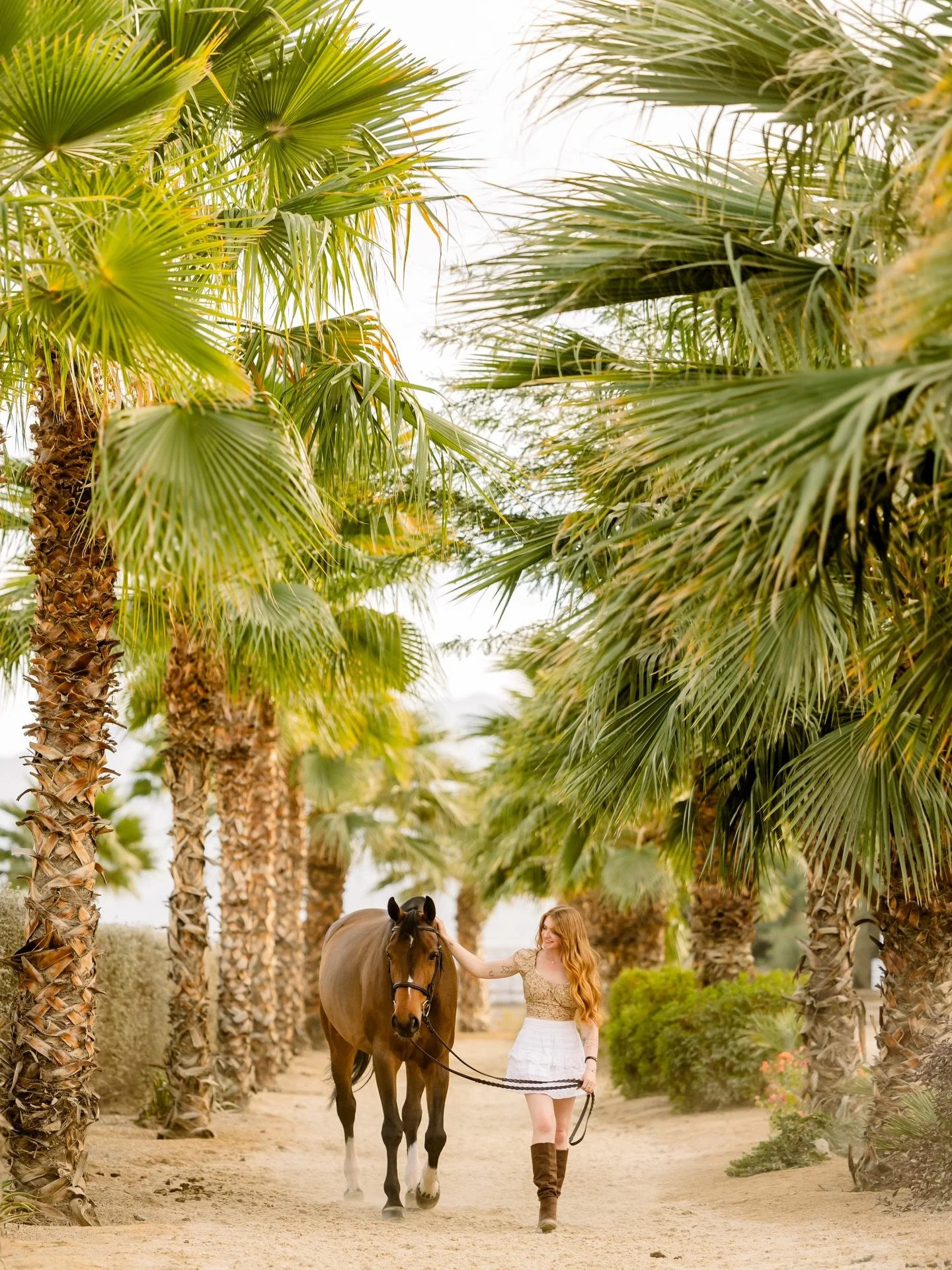 Desert Dreaming at @deserthorsepark ✨

Always love the opportunity to head out to this gorgeous show ground and snap some portraits for competitors. There&rsquo;s something so special about capturing this property with your equine partner ❤️