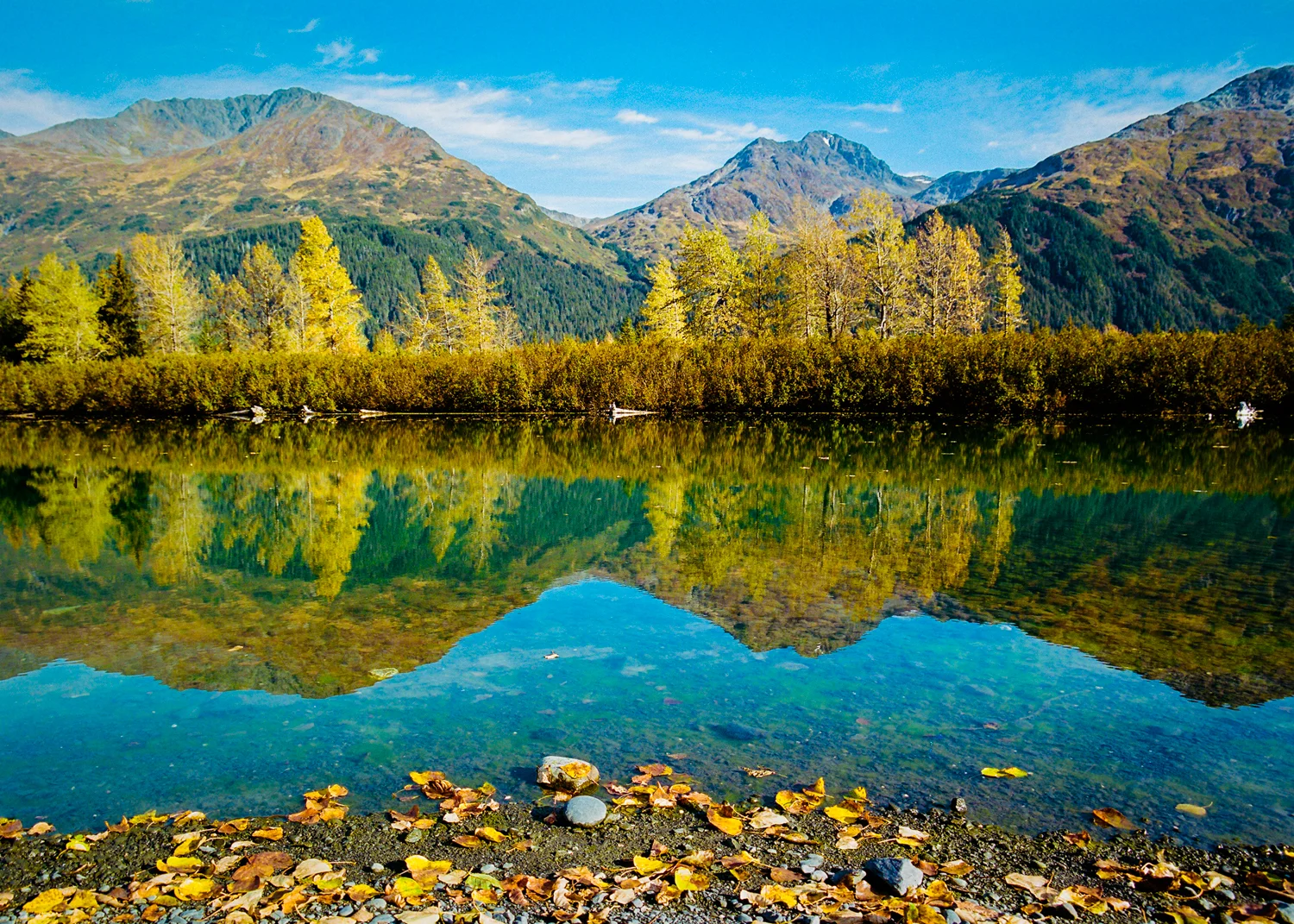 alaska-lowres-8.jpg