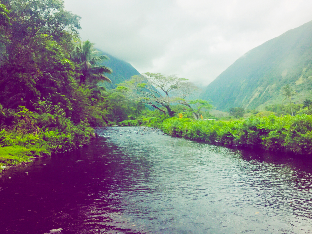 One of the many river crossings on the floor of the Waipi'o Valley