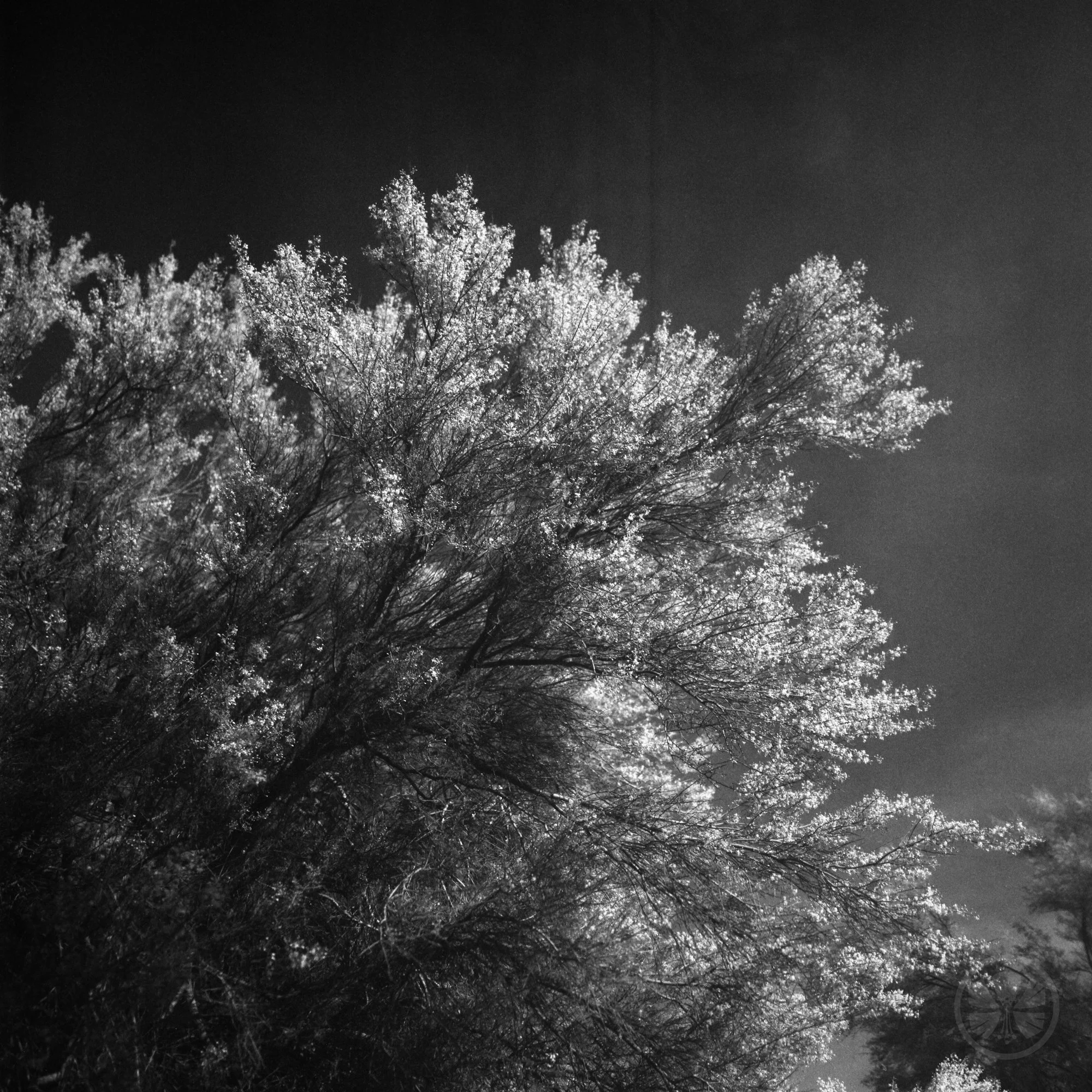 Roll02-009.jpg