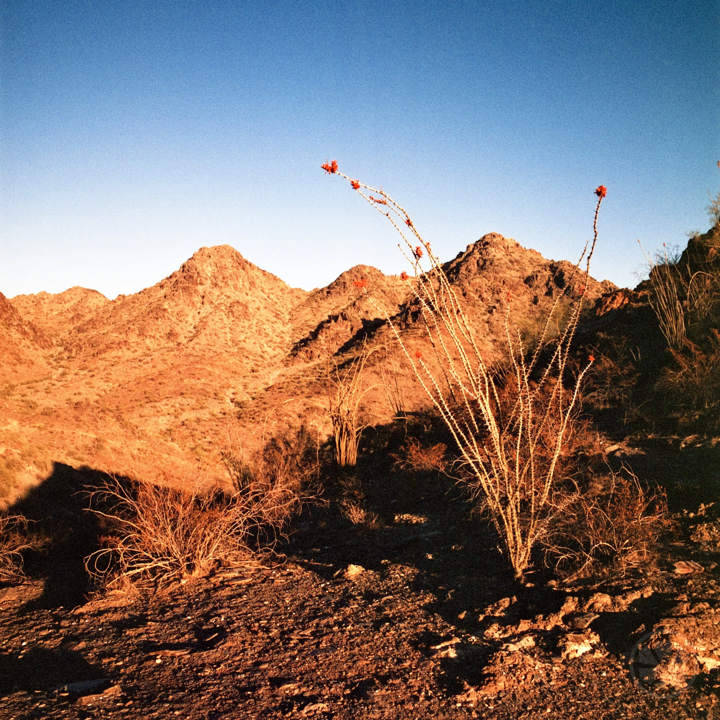 Roll02-005.jpg