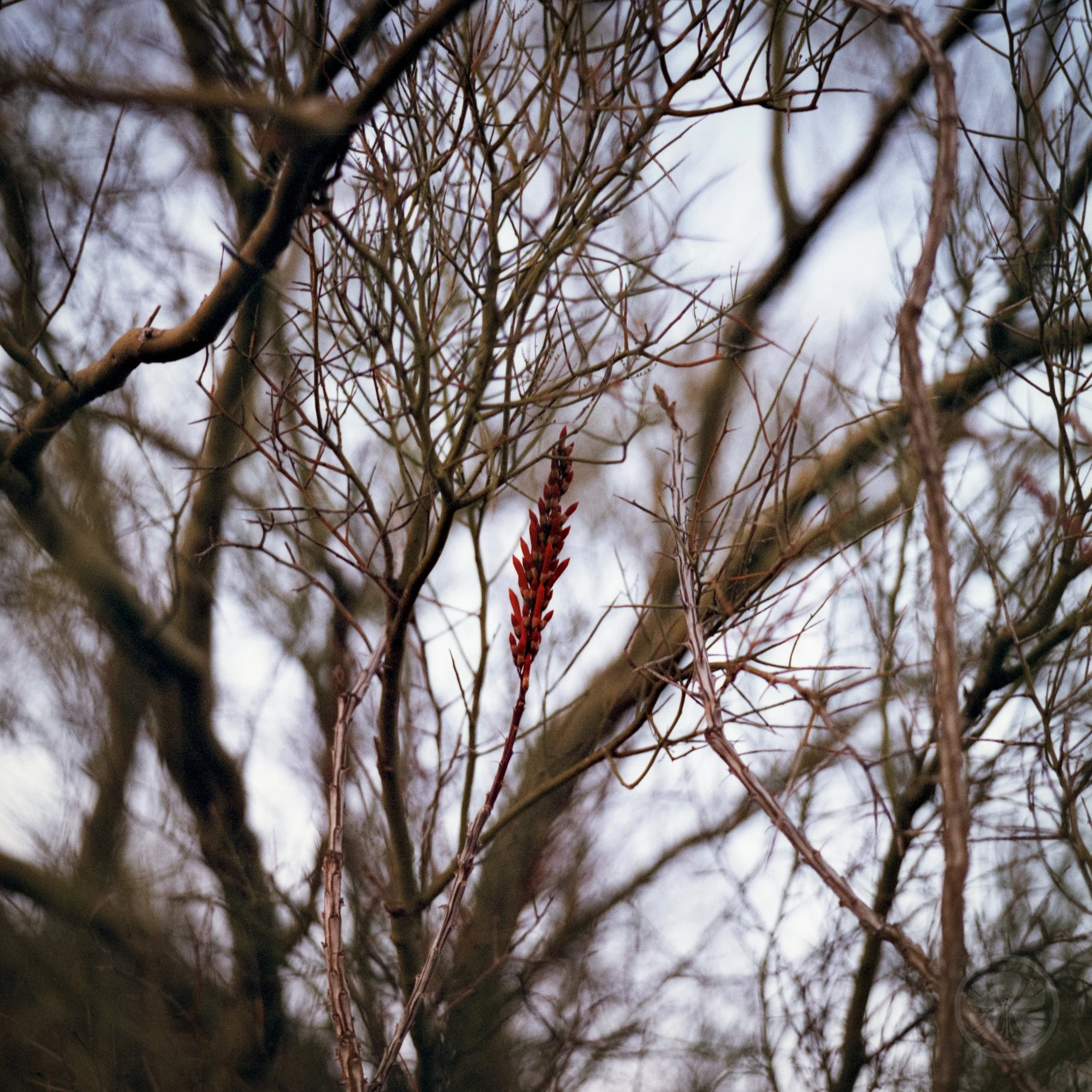 Roll02-008.jpg
